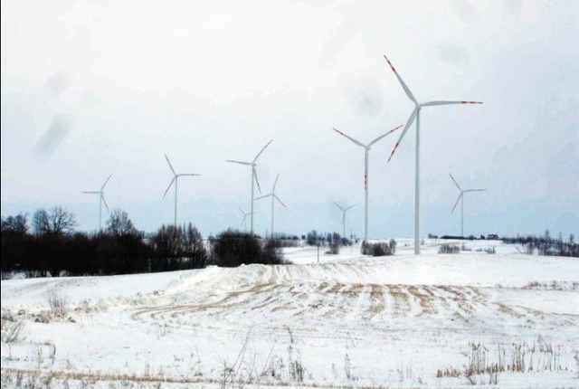 Kilkanaście wiatraków stoi przy trasie z Gołdapi do Węgorzewa. To właśnie w tym regionie panują jedne z najlepszych warunków do rozwoju energetyki wiatrowej.