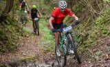 MTB Cross Maraton przejechał przez Starachowice. Rywalizowano na trzech dystansach. Zobacz wyniki i zdjęcia