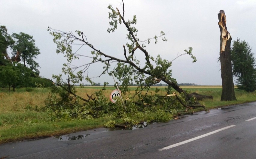 Skutki nawałnicy w Wągrowcu.