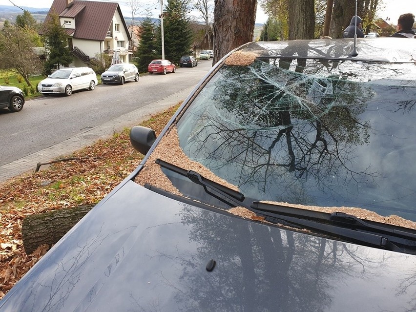 Drzewo spadło na samochód w Kalwarii Zebrzydowskiej, tuż koło klasztoru