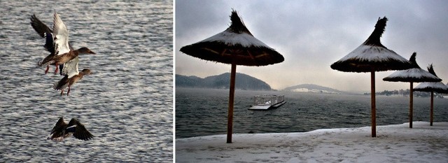 Przysypane śniegiem parasole na cyplu WOPR w Polańczyku prezentują się niezwykle.