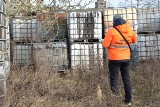 Nielegalne składowisko niebezpiecznych odpadów w Szczecinie