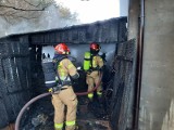 Pożar w Niekłaniu Małym i błyskawiczna akcja strażaków