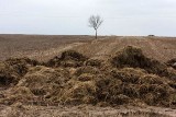 Saniki - Sawino - Bagienki. Lotnisko będzie, ale nie wiadomo kiedy. Potrzebna decyzja środowiskowa. 