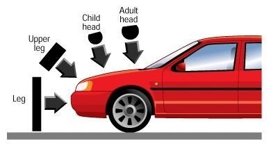 Fot. Euro-NCAP: Charakterystyczne miejsca zetknięcia ciała...