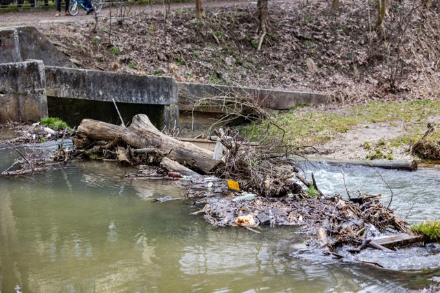 Mieszkańcy dwukrotnie liczyli nielegalne rury ściekowe, które zanieczyszczają rzekę Prądnik
