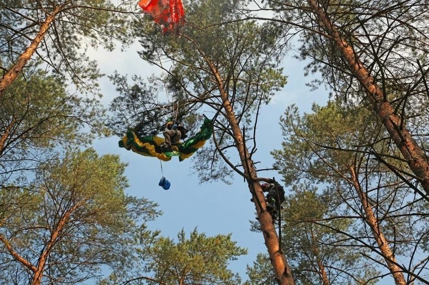 W poniedziałek pilscy strażacy odnotowali dość niecodzienną...