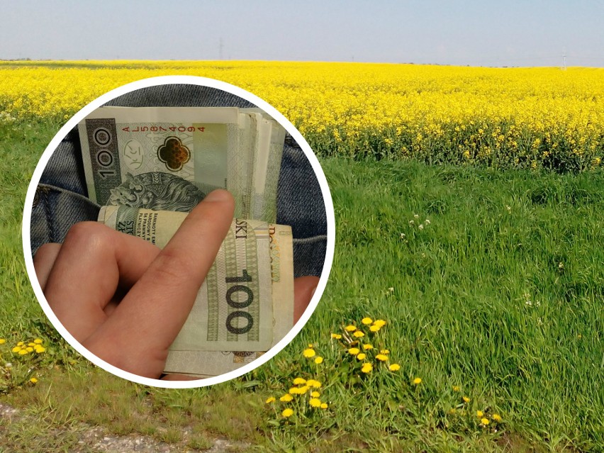 Zobacz, ile kosztuje teraz ziemia rolna w Polsce. Ceny w regionach [I kw. 2016]