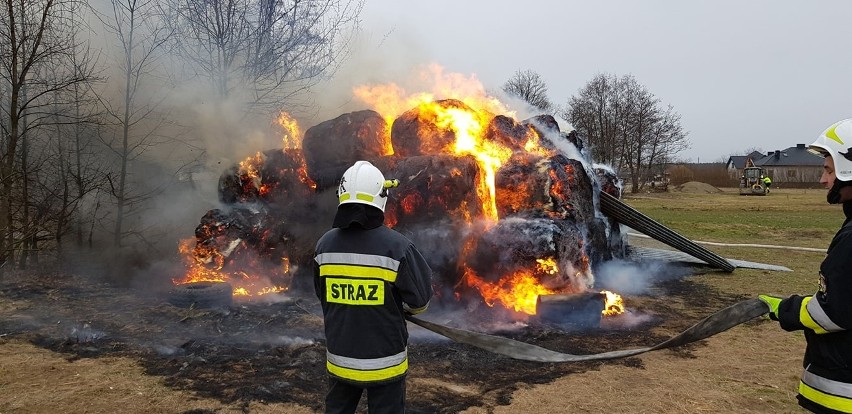 Pożar w Jeżowem. Strażacy gasili płonące baloty słomy. Najprawdopodobniej było to podpalenie [ZDJĘCIA]