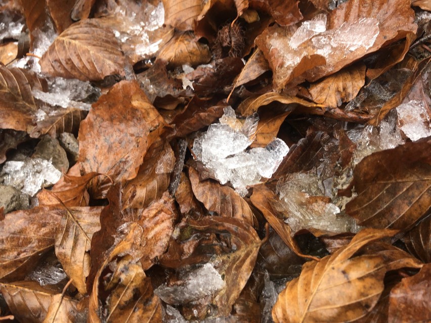 Na Połoninie Wetlińskiej jesień złapała się za ręce z zimą. Krajobraz malowany lodem jak z bajki [ZDJĘCIA]