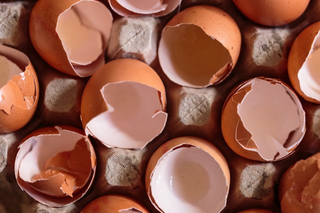 Nie wyrzucaj skorupek jajek, wykorzystaj je na wiele sposobów. Niektóre znasz od lat, inne być może Cię zaskoczą. To kolejny pomysł na to, aby w kuchni nic się nie zmarnowało.