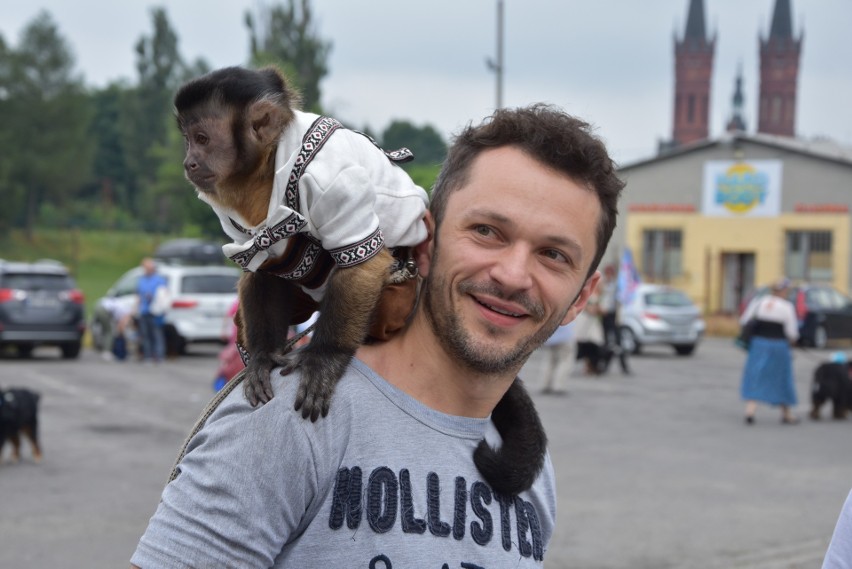 Tarnów. Ulicami miasta przeszła parada berneńczyków [ZDJĘCIA]