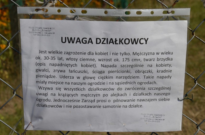 Działkowcy ostrzegają: "Brzydki mężczyzna gwałci i zrywa łańcuszki" (ZDJĘCIA)