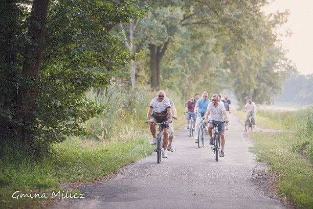 Samorządowcy spod Wrocławia chcą wybudować autostradę rowerową. Droga będzie liczyła ponad 150 km. W gminie Milicz wybudowano już 20-kilometrowy odcinek