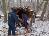 Dąbrowa Górnicza: zima i mróz dają się we znaki. Gdzie po wsparcie? Jak można pomóc osobom w potrzebie?
