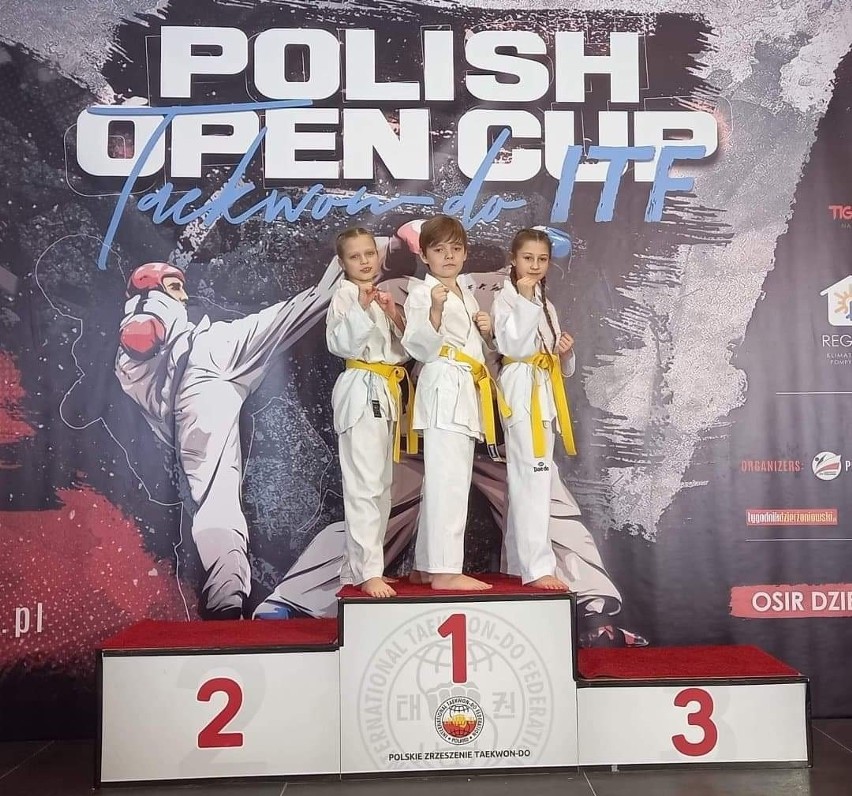 Puchar Polski w taekwondo w Dzierżoniowie