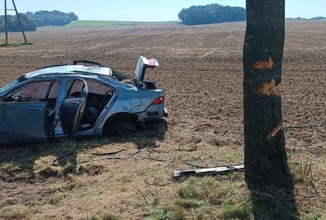 Kompletnie pijany 39-latek uderzył hondą w drzewo.