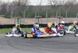 Kierowcy z regionu na podium w wyścigach kartingów w Toruniu