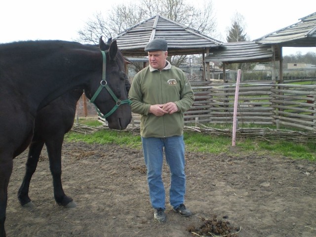 Krzysztof Dzikowski przedstawia Hesperosa, jednego z jego pięciu koni. - Dwa uratowałem od rzeźni - dodaje gospodarz