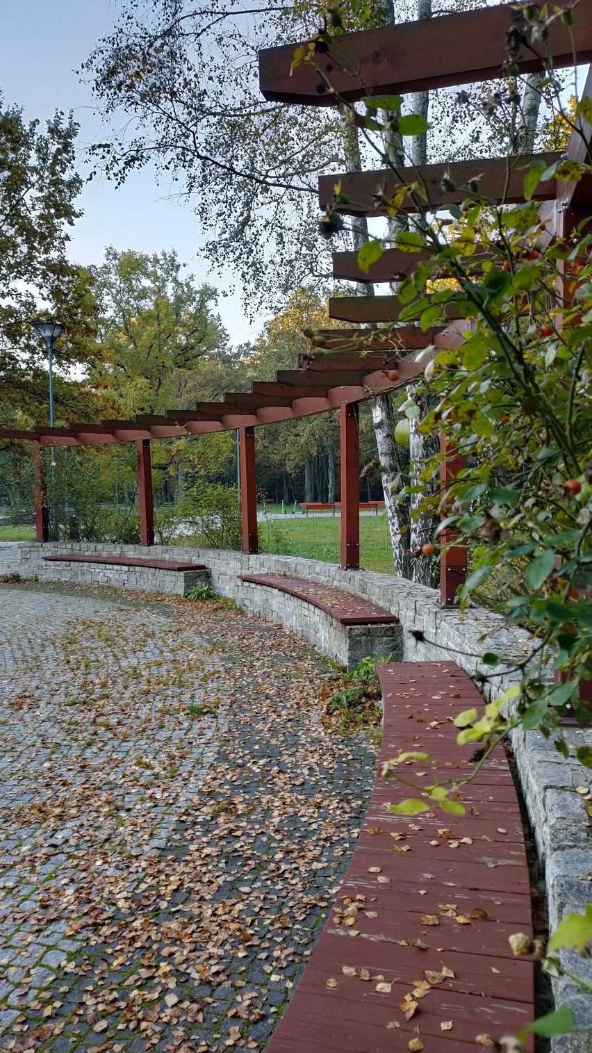 Park Zielona w Dąbrowie Górniczej to atrakcyjne miejsce na...