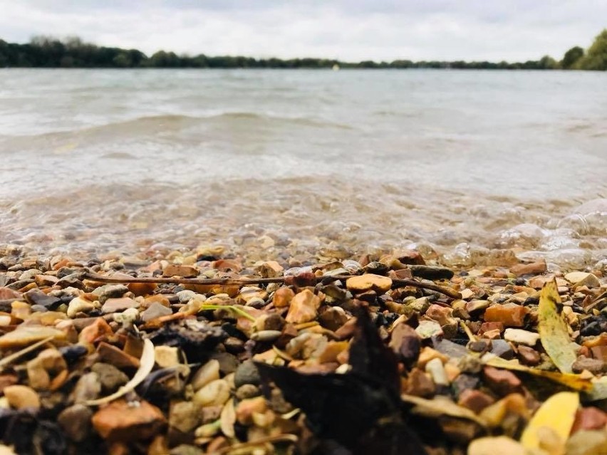 Światowy Dzień Fotografii - oto zdjęcia, z które zrobili nasi czytelnicy i są z nich dumni [ZDJĘCIA] 