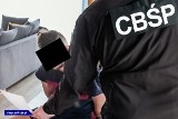Setki kilogramów narkotyków przemycanych w lodówkach i zamrażarkach. Suwalska prokuratura oskarżyła 12 osób