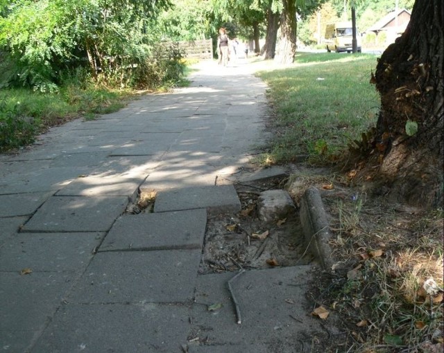Na całej długości ulicy Sienkiewicza w Tarnobrzegu, chodnik jest w fatalnym stanie.