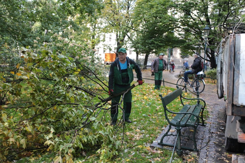 Orkan Ksawery w Krakowie. Wielkie sprzątanie na Plantach [ZDJĘCIA]