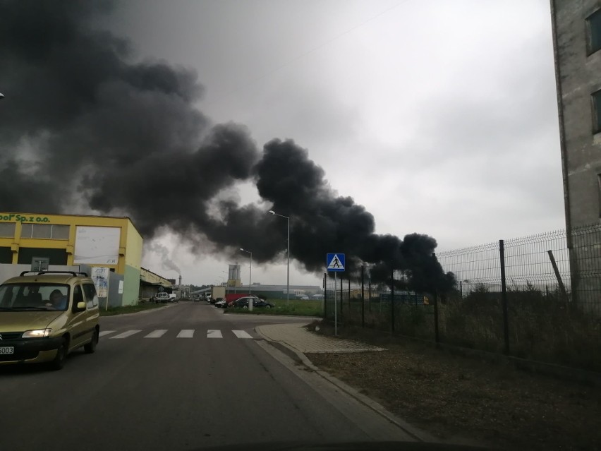 Pożar w zakładzie na terenie strefy ekonomicznej w Chmielowie [ZDJĘCIA]