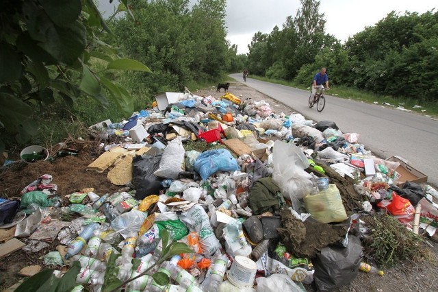 Takie wysypisko śmieci jest przy drodze przez Pracowniczy Ogród Działkowy imienia Stefana Żeromskiego w Kielcach.