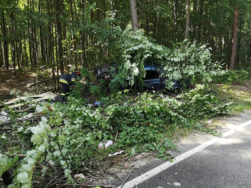 Olkusz. Auto roztrzaskało się na drzewie w lesie w Mazańcu. Kierowca uciekł