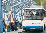 Nowy przewoźnik zorganizuje transport zbiorowy w powiecie kędzierzyńsko-kozielskim