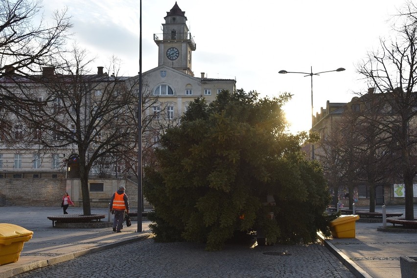 Jeszcze niemal miesiąc do Bożego Narodzenia, a Gorlice już mają choinkę na rynku. Właśnie została zamontowana