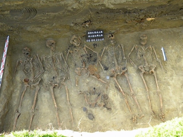 Pracownia Badań Historycznych i Archeologicznych POMOST w trakcie prac sondażowo-ekshumacyjnych w Zalesiu Wielkim (gm. Kobylin) natrafiła na szczątki sześciu żołnierzy niemieckich.