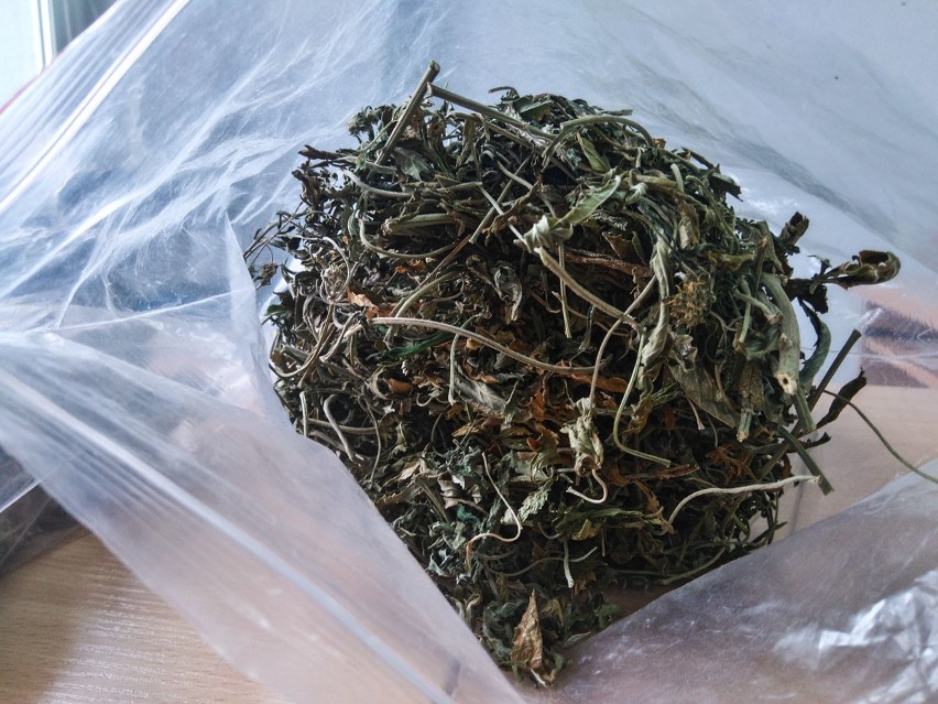 W mieszkaniu policjanci zabezpieczyli 400 gramów marihuany