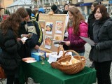 Niezwykły happening w centrum Niska. Młodzież przybliżyła mieszkańcom żydowską kulturę (zdjęcia)
