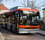 Ostrołęka. Miasto kupuje dziesięć autobusów na gaz. Są trzy oferty. Przetarg nie został jeszcze rozstrzygnięty