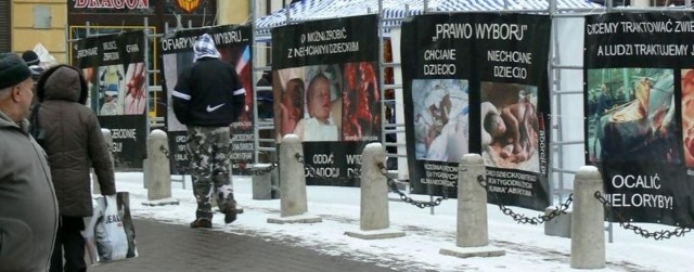 Zdjęcia prezentowane na wystawie "Wybierz Życie&#8221; w Tarnobrzegu oglądają wszyscy, zarówno starsi, jak i młodsi.