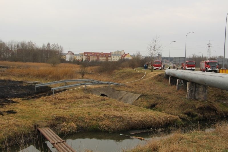 Al. Jana Pawła II. Wielki pożar łąki