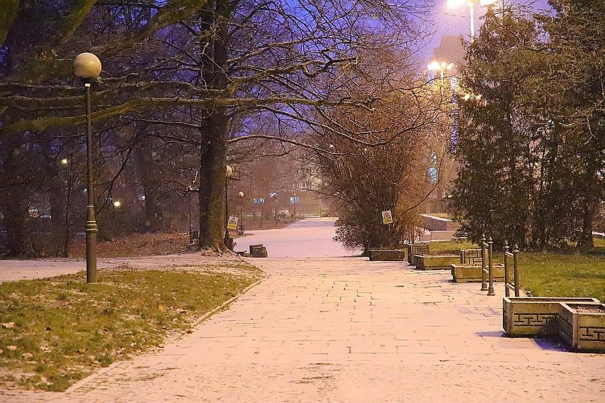 Zima w Łodzi. Sypnęło śniegiem! Zrobiło się biało i pięknie. Na drogach ślisko. Zobaczcie ZDJĘCIA