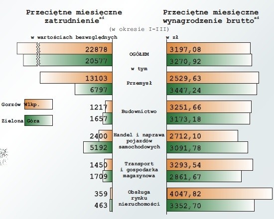 Zielona Góra i Gorzów statystykach