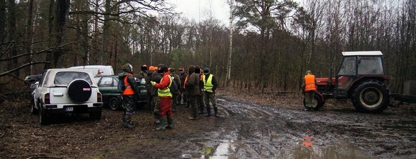 Pod Wrocławiem myśliwi nie postrzelali do dzików. Przyjechała policja (ZDJĘCIA)