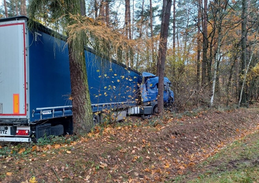 Samochód ciężarowy wypadł z drogi. Jazdę zakończył... w lesie. Do zdarzenia doszło na DW 627 w Bieli 7.11.2023