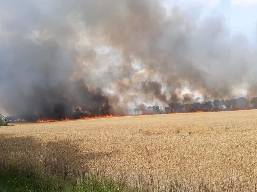 Pożar wybuch na polach znajdujących się za terenem...