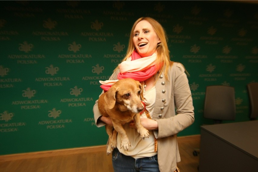 Wrocławscy adwokaci chcą wyższych kar za cierpienie zwierząt. Na spotkanie przyszli z psami