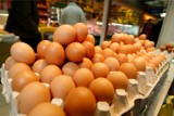 Jakie jaja kupić na Wielkanoc? Ceny i rodzaje w sieciach handlowych. Sieci wycofują się ze sprzedaży jaj z chowu klatkowego