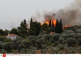 Grecja: Pożary lasów w Attyce, miasteczko Mati spustoszone. Co najmniej 74 ofiary śmiertelne, są wśród nich Polacy [ZDJĘCIA] [WIDEO]