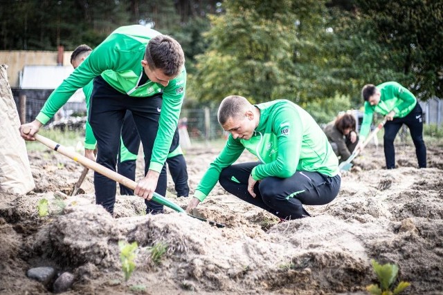 Pierwsza pula – 3710 sztuk, głównie dębów bezszypułkowych – została posadzona we wrześniu ubiegłego roku i rośnie już w Nadleśnictwie Łopuchówko.