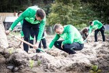 Im więcej Warta strzeli bramek na piłkarskich boiskach, tym więcej drzew pojawi się pod Poznaniem!