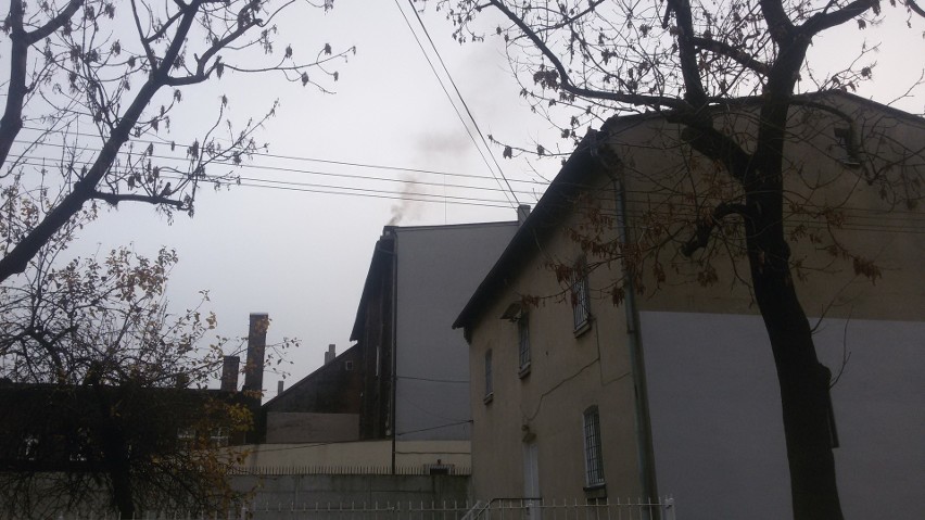 Smog w Chorzowie